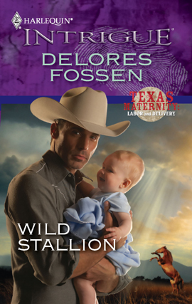 Title details for Wild Stallion by Delores Fossen - Available